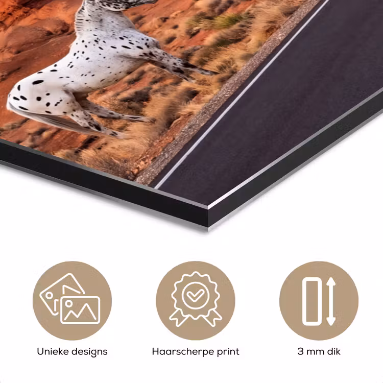 Aluminium schilderij - Paard - Woestijn - Natuur — 7