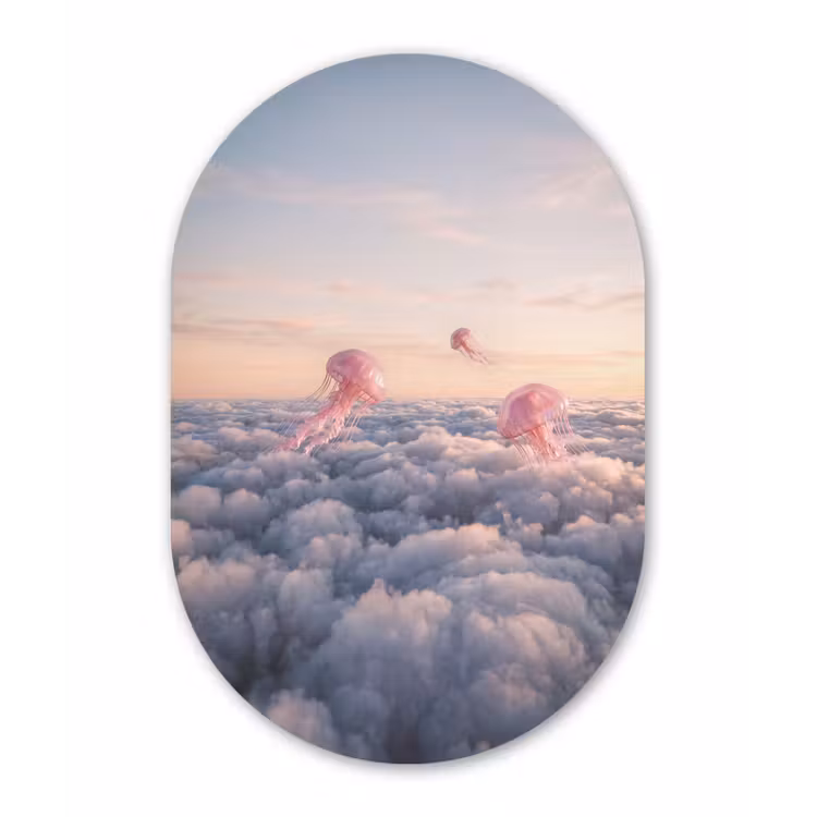 Muurovaal aluminium - Roze dier - Wolken — 1