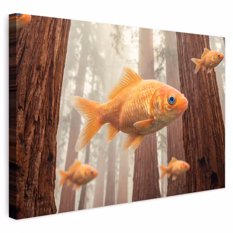 Buiten canvas - Vis - Bos - Fantasie — 1
