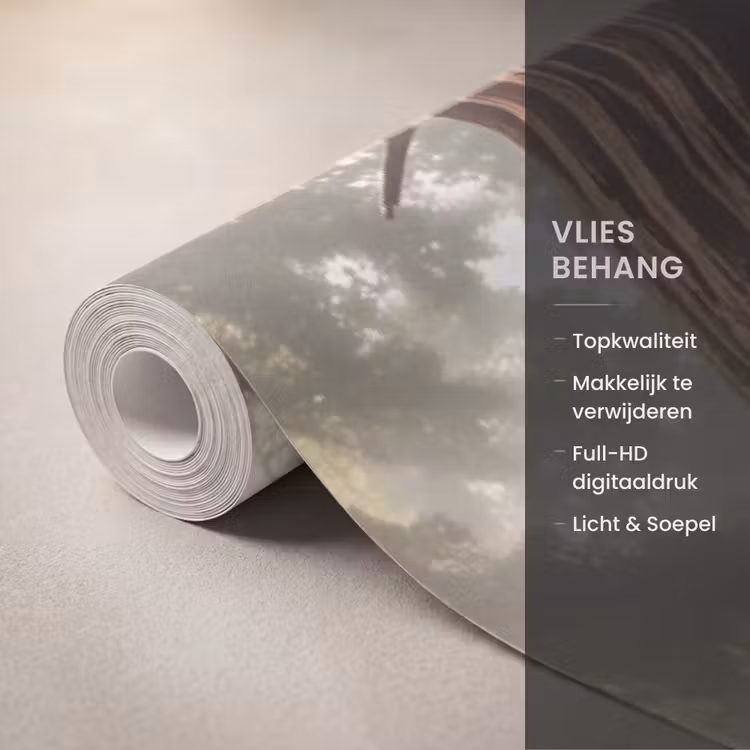 Behang - Bos - Bomen - Natuur — 3