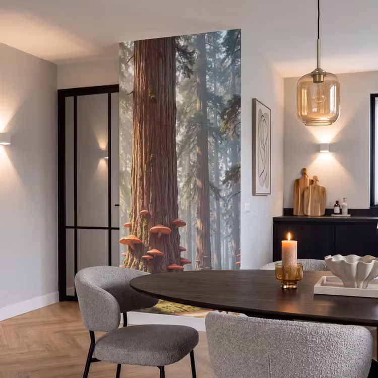 Behang - Bos - Bomen - Natuur — 5
