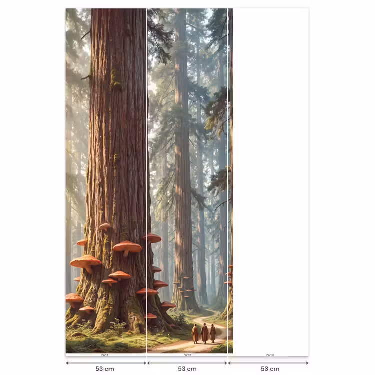 Behang - Bos - Bomen - Natuur — 6