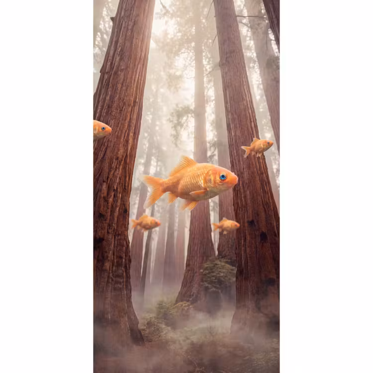 Behang - Vis - Bos - Fantasie — 2