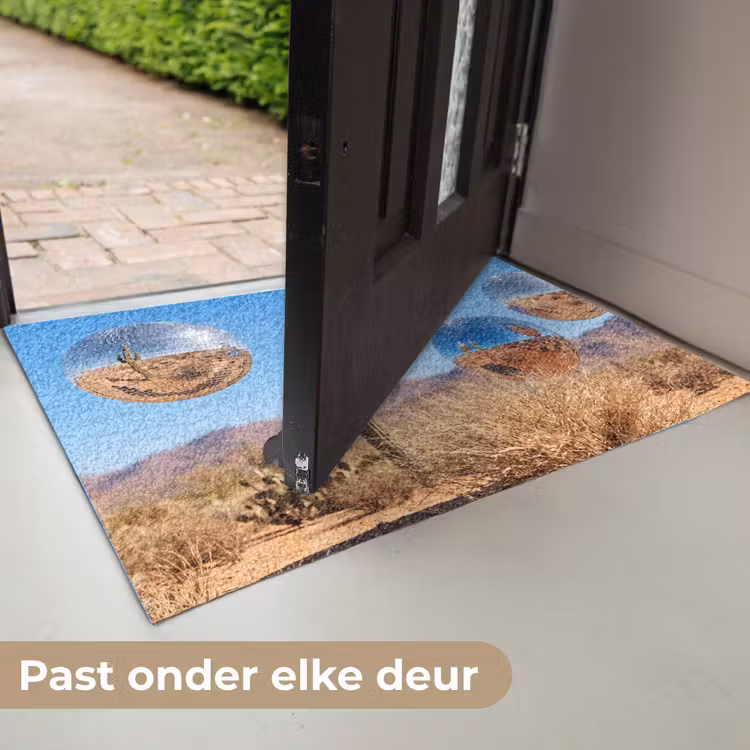 Deurmat - Woestijn - Spiegelbal - Kunst — 7