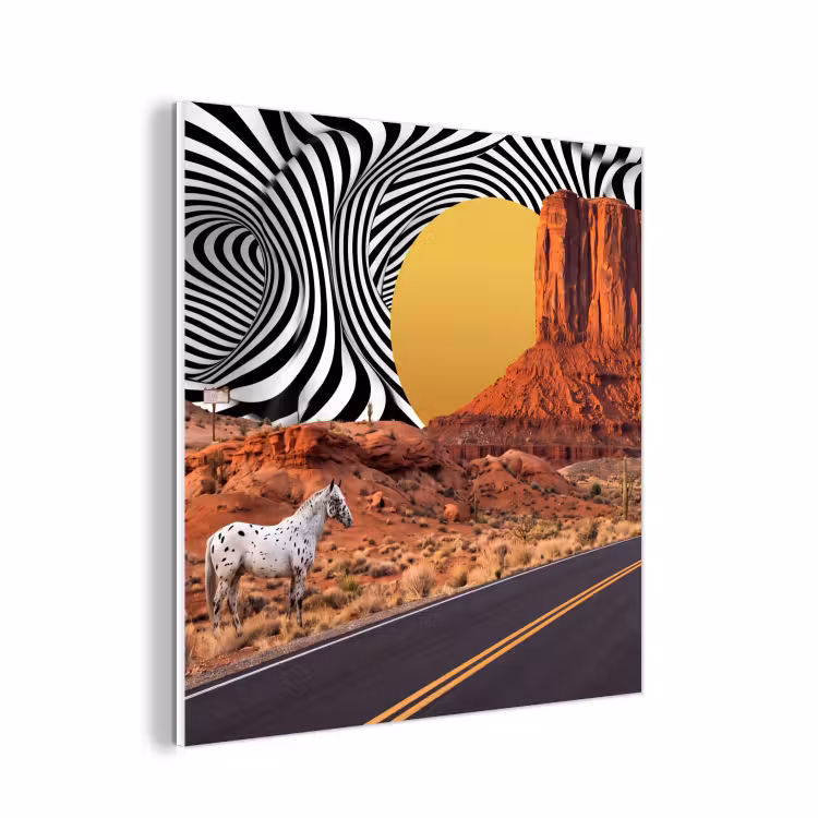Forex - Paard - Woestijn - Natuur — 1