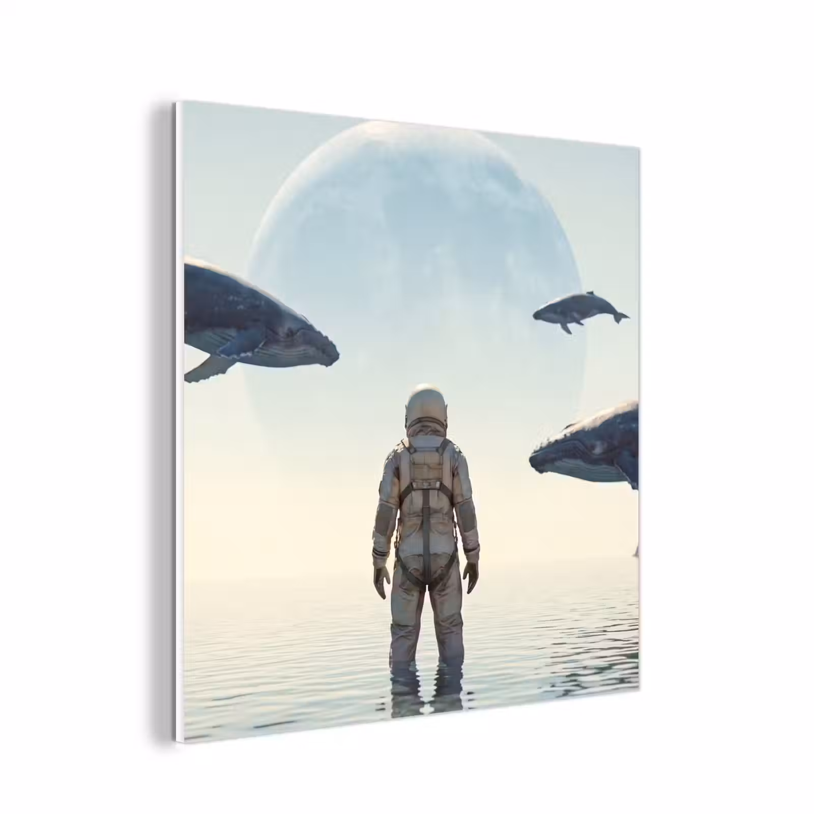 Forex - Ruimtevaarder - Walvis - Fantasie — 1