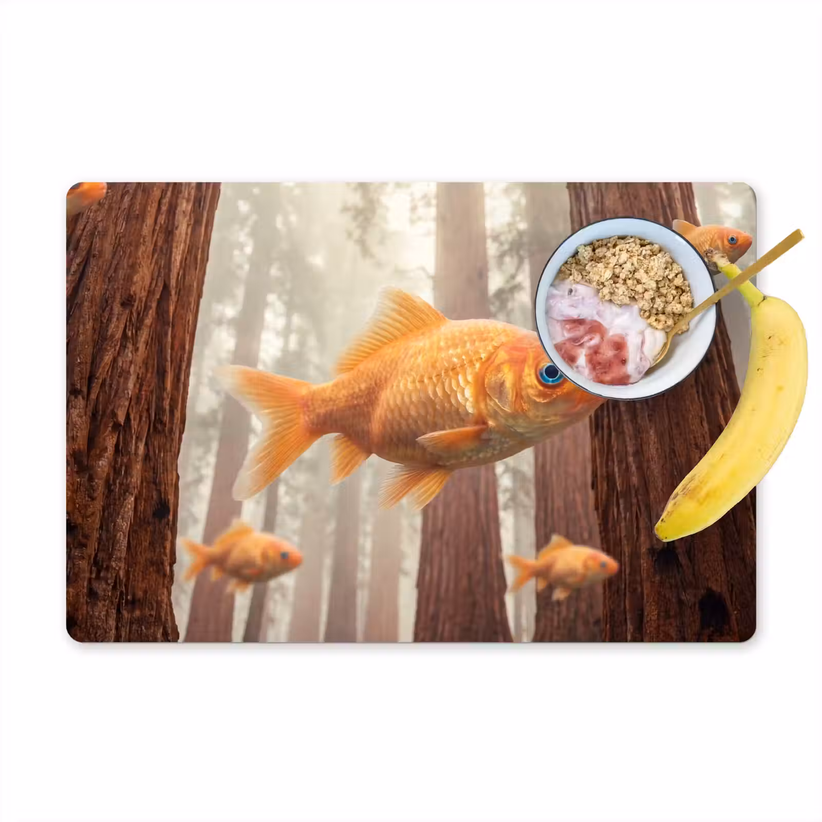 Placemat - 6 stuks - Vis - Bos - Fantasie — 1