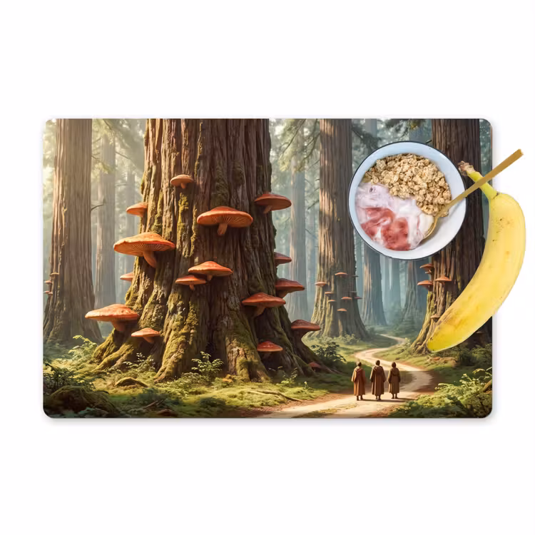 Placemat - 6 stuks - Bos - Bomen - Natuur — 1