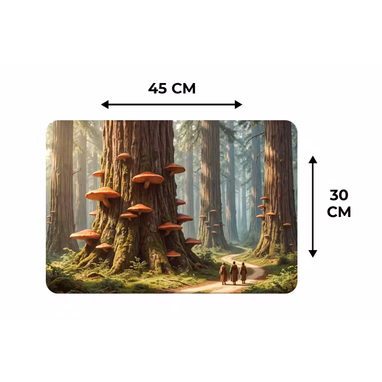 Placemat - 6 stuks - Bos - Bomen - Natuur — 3