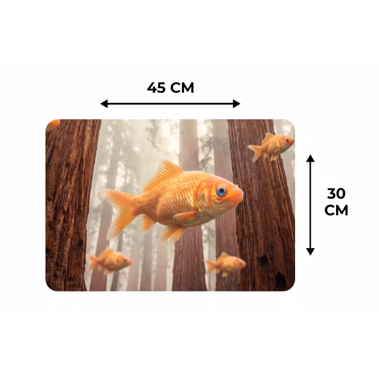 Placemat - 6 stuks - Vis - Bos - Fantasie — 3