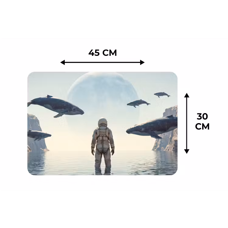 Placemat - 6 stuks - Ruimtevaarder - Walvis - Fantasie — 3