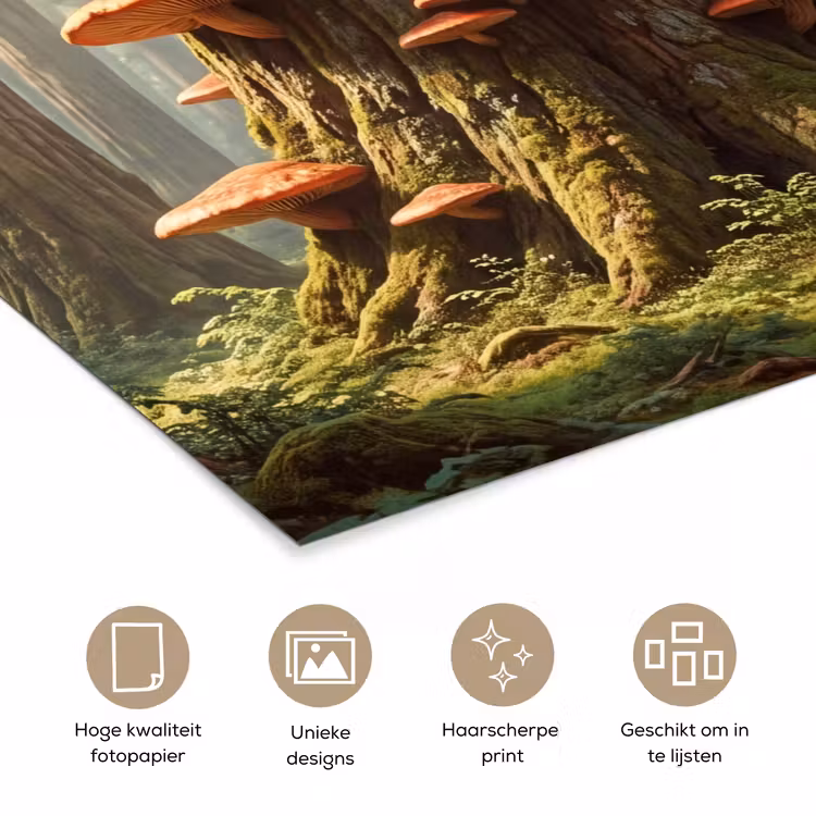 Poster - Bos - Bomen - Natuur — 5