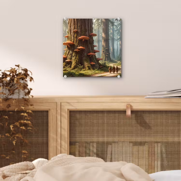 Glas schilderij - Bos - Bomen - Natuur — 5