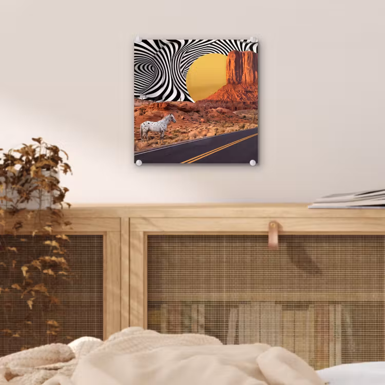 Glas schilderij - Paard - Woestijn - Natuur — 5