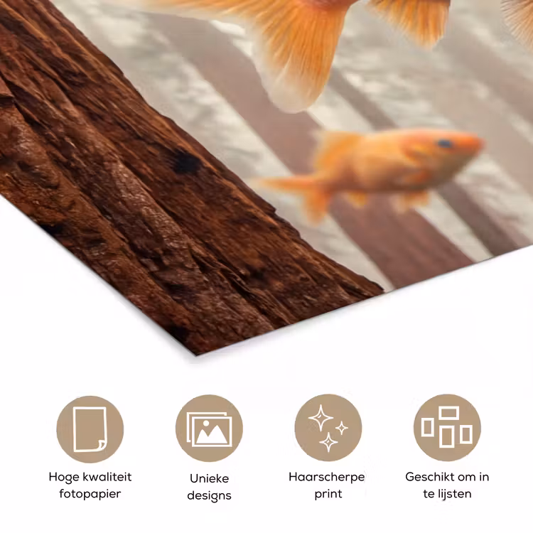 Poster - Vis - Bos - Fantasie — 5