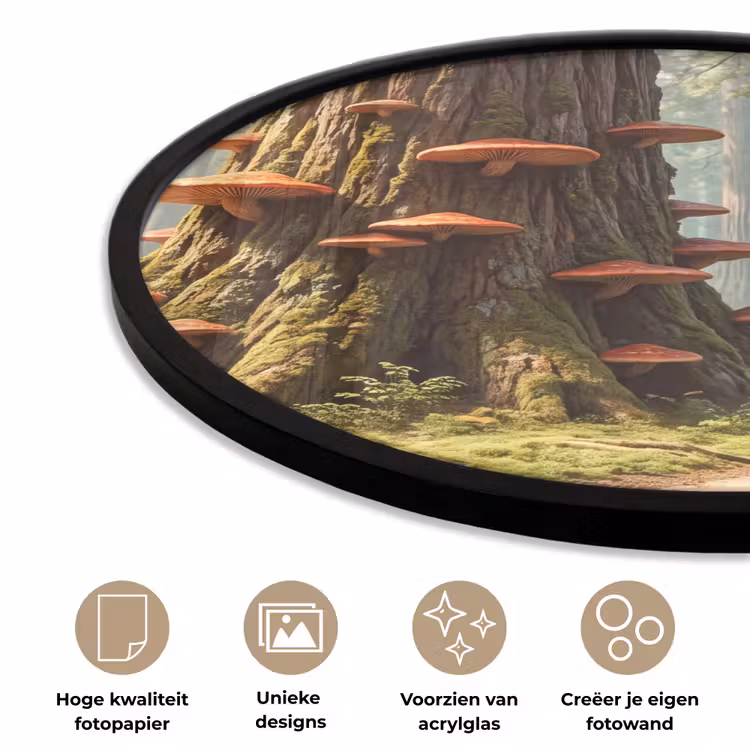 Ronde fotolijst - Bos - Bomen - Natuur — 2
