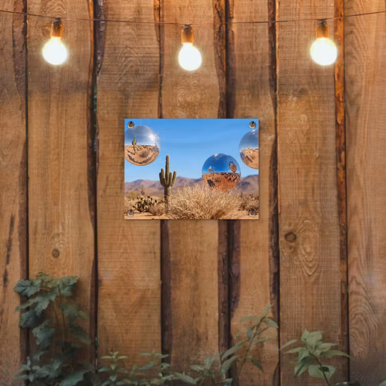 Tuinposter - Woestijn - Spiegelbal - Kunst — 2