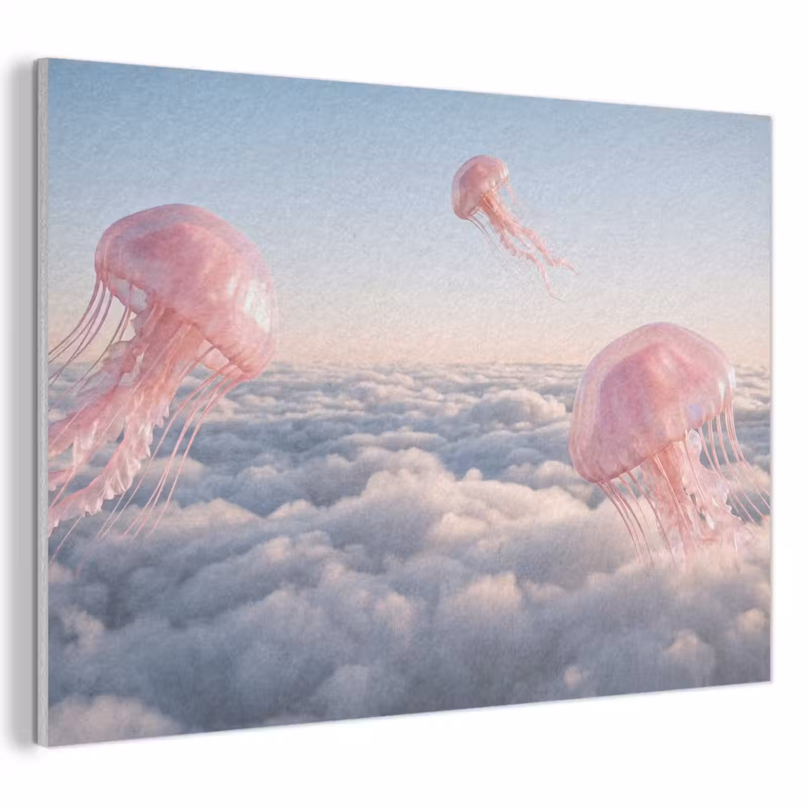 Akoestisch schilderij - Roze dier - Wolken — 1