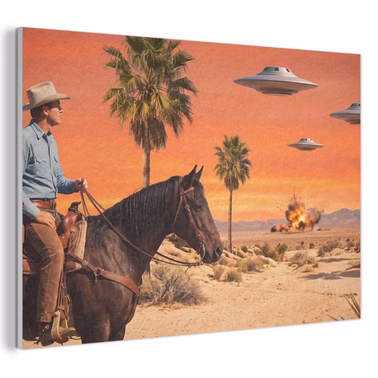 Akoestisch schilderij - Cowboy - Paard - Woestijn — 1