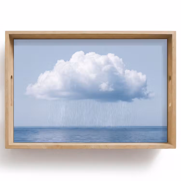 Dienblad - Wolk - Regen - Natuur — 1