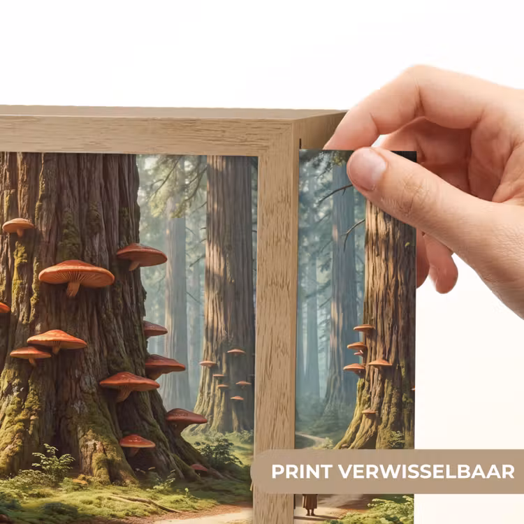 Lightbox - Wandlamp - Bos - Bomen - Natuur — 6
