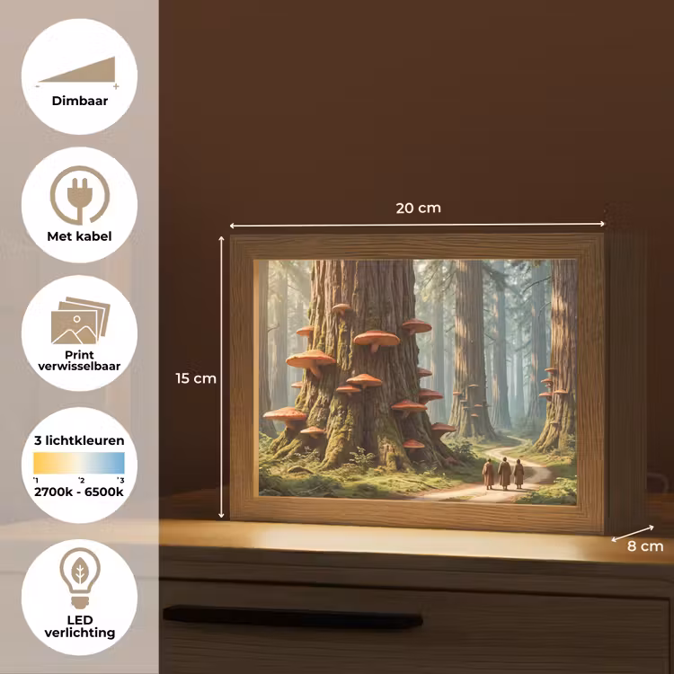 Lightbox - Wandlamp - Bos - Bomen - Natuur — 9