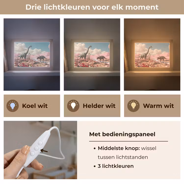 Lightbox - Wandlamp - Dinosaurus - Roze - Landschap — 7