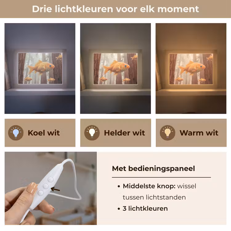 Lightbox - Wandlamp - Vis - Bos - Fantasie — 7