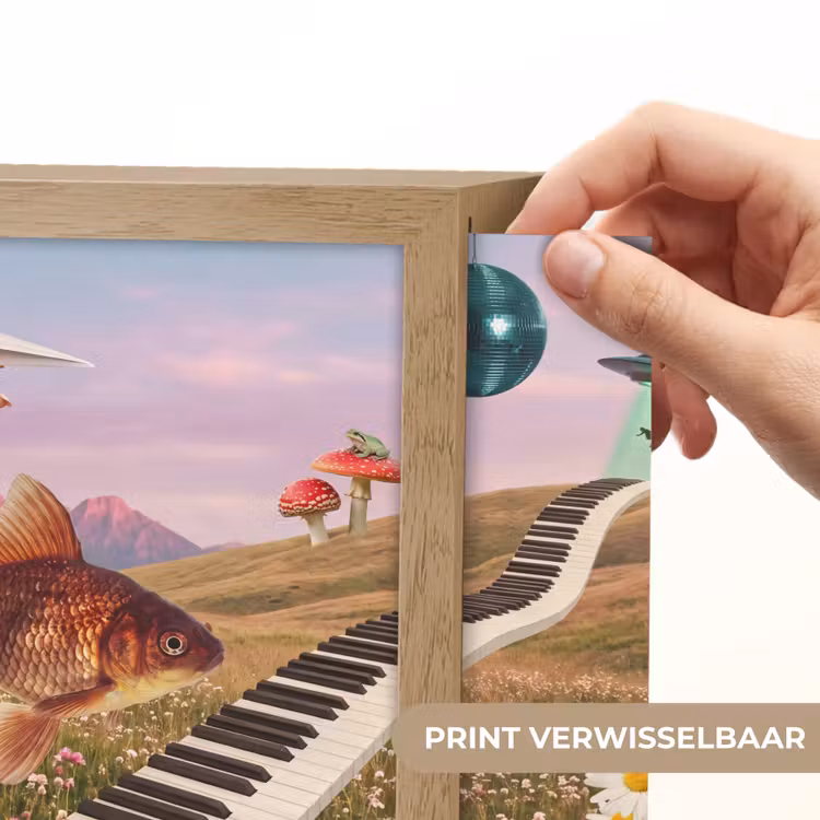 Lightbox - Wandlamp - Vis - Natuur - Abstract — 6