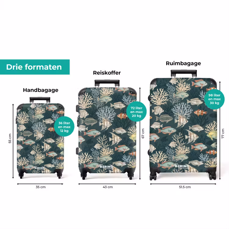 Koffer - Vis - Koraal - Onderwater - Illustratie — 8