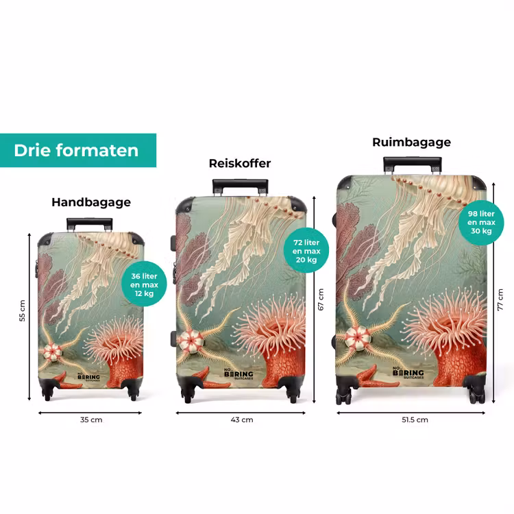 Koffer - Zeeleven - Kwal - Onderwater - Illustratie - Beige — 8