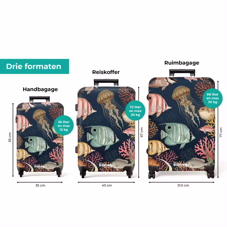 Koffer - Vis - Koraal - Onderwater - Illustratie — 8