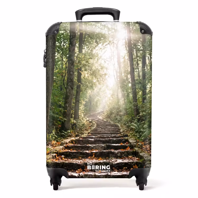 Koffer - Stenen - Trap - Bos - Natuur — 1