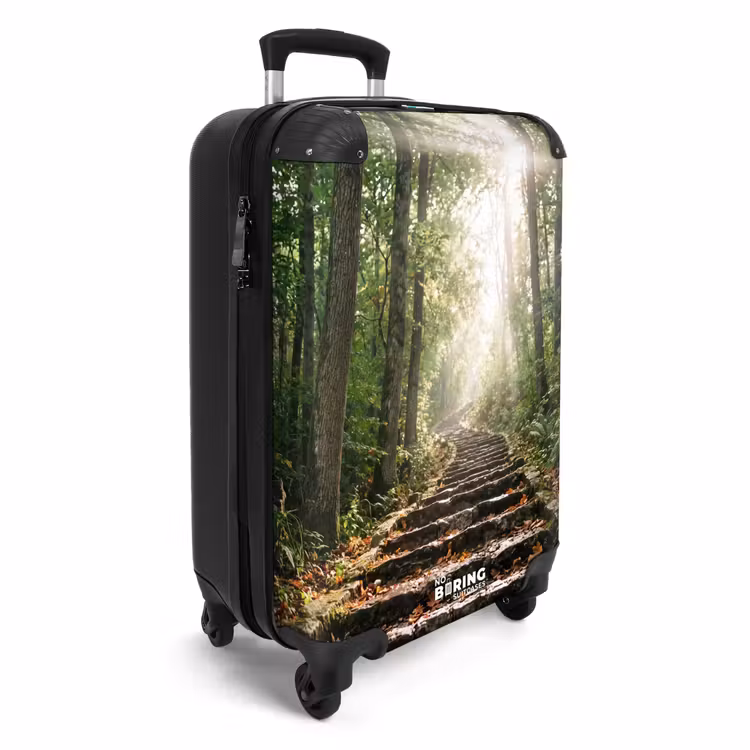 Koffer - Stenen - Trap - Bos - Natuur — 2