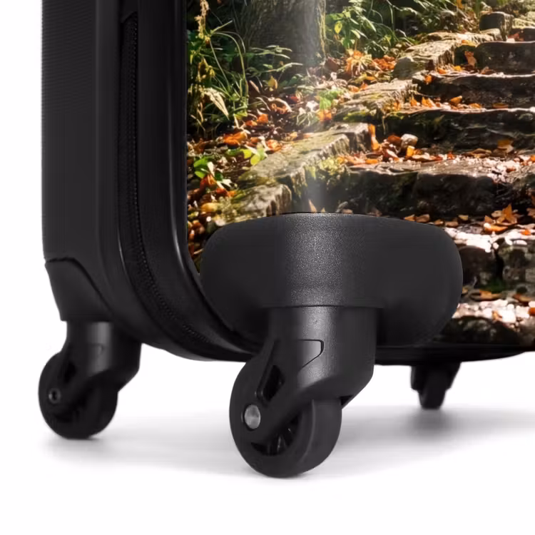 Koffer - Stenen - Trap - Bos - Natuur — 6