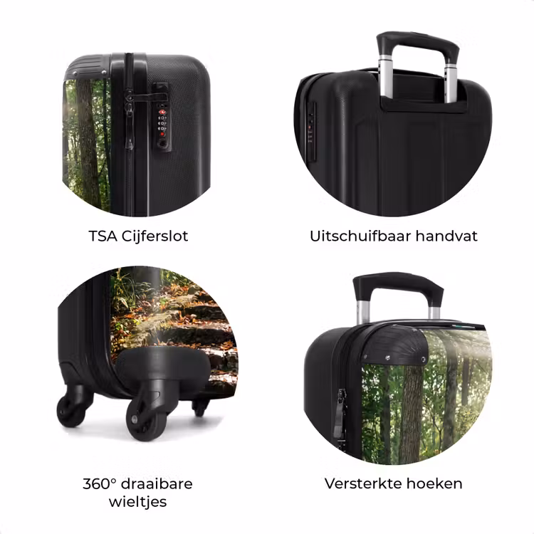 Koffer - Stenen - Trap - Bos - Natuur — 7