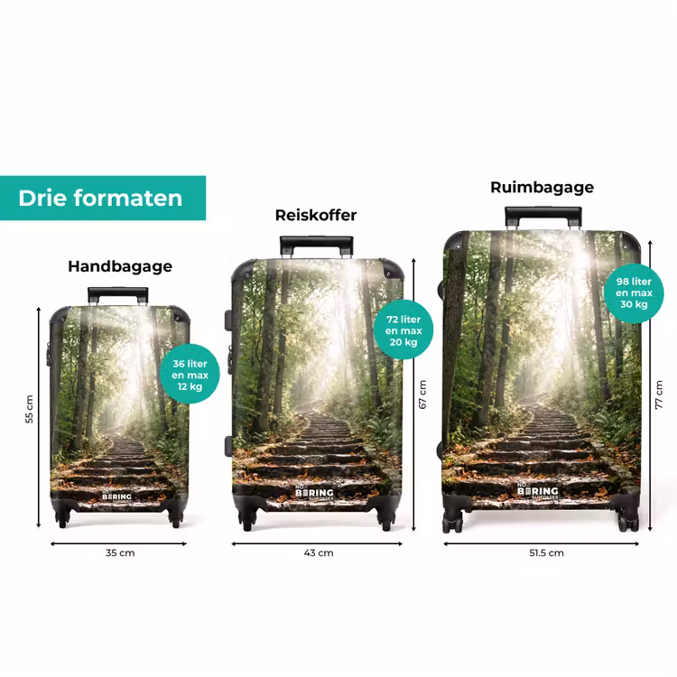 Koffer - Stenen - Trap - Bos - Natuur — 8