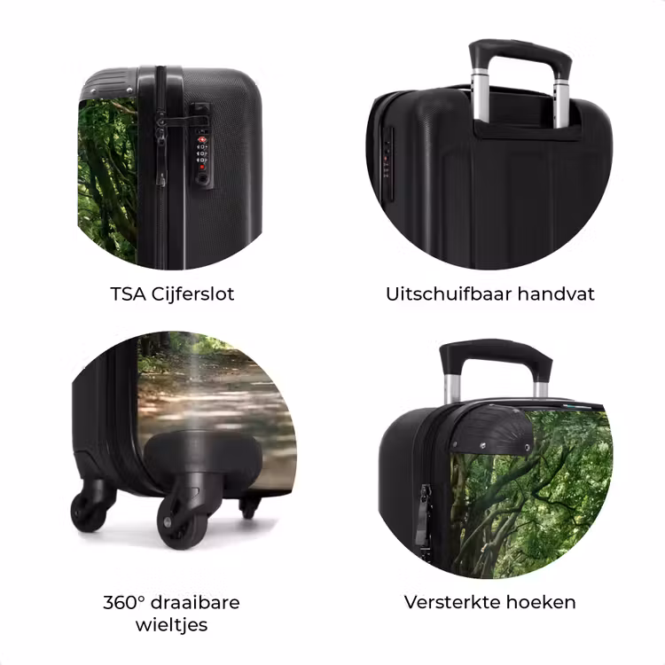 Koffer - Weg - Bomen - Natuur - Groen — 7