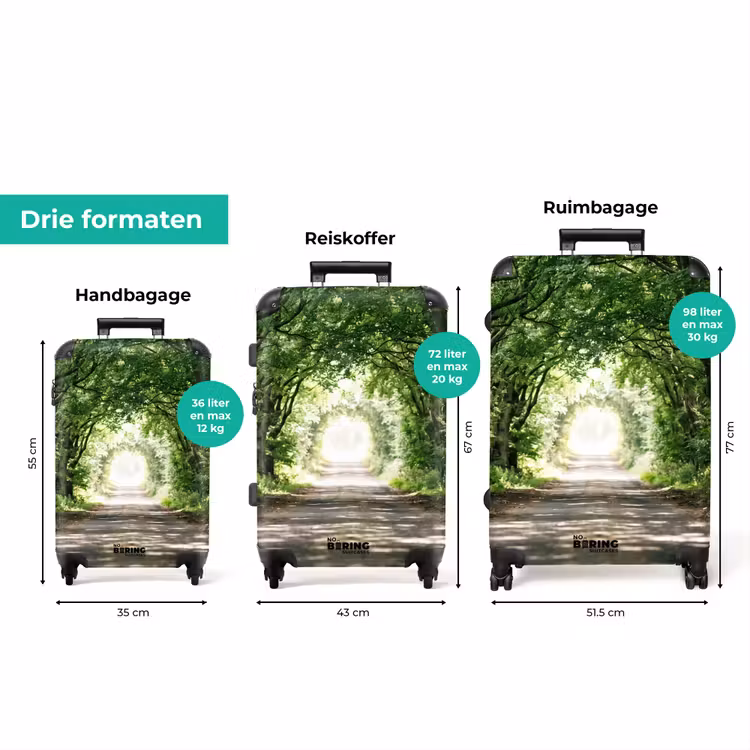 Koffer - Weg - Bomen - Natuur - Groen — 8