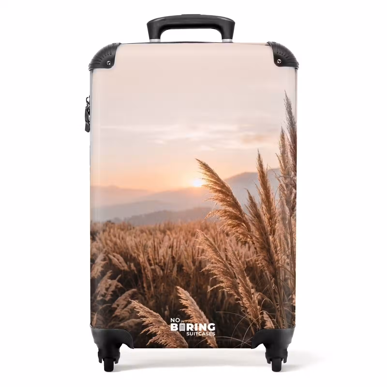 Koffer - Gras - Veld - Zon - Natuur — 1