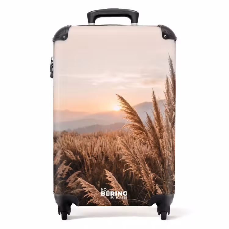 Koffer - Gras - Veld - Zon - Natuur — 1