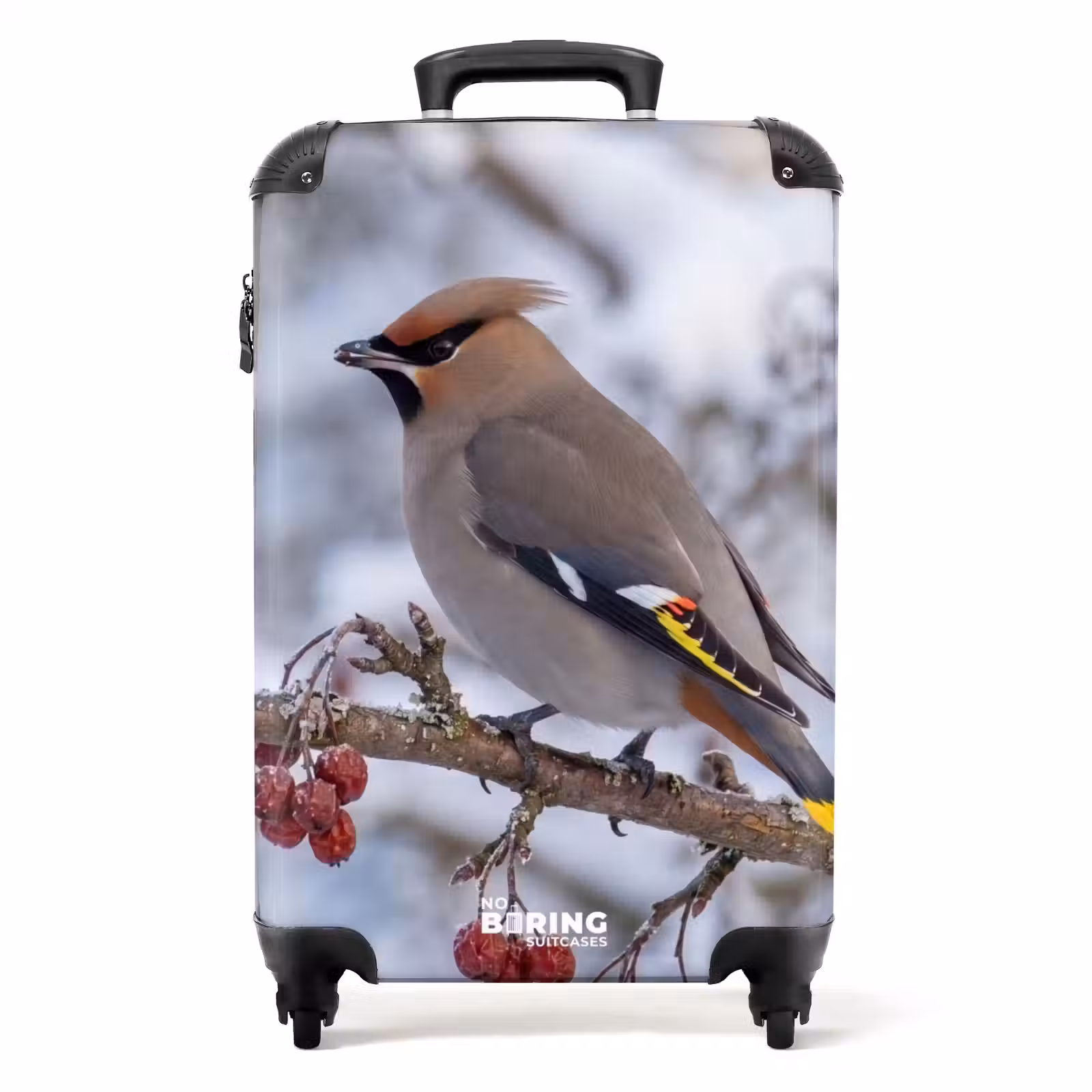 Koffer - Pestvogel - Bessen - Winter - Natuur — 1
