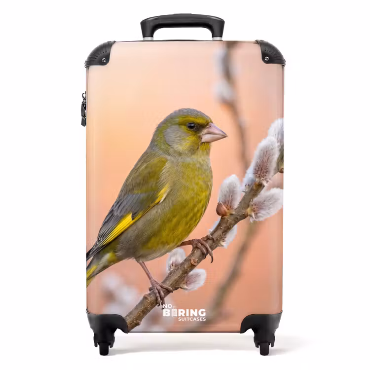 Koffer - Groenling - Katjes - Lente - Natuur - Zacht — 1