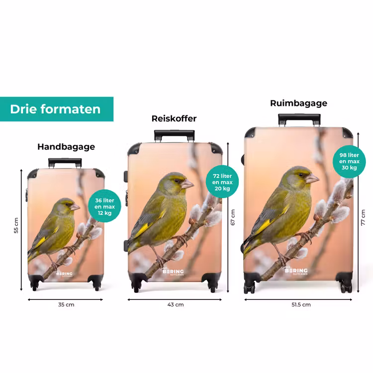 Koffer - Groenling - Katjes - Lente - Natuur - Zacht — 8