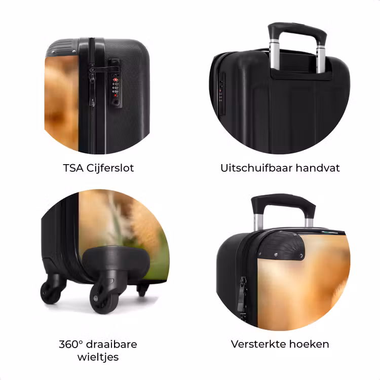 Koffer - Pijltje - Eend - Natuur - Geel — 7