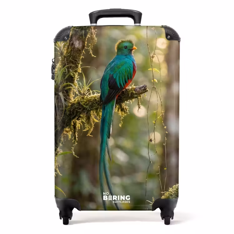 Koffer - Quetzal - Jungle - Natuur - Groen — 1