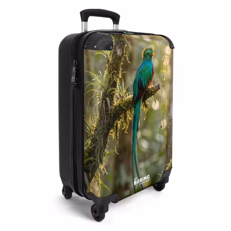 Koffer - Quetzal - Jungle - Natuur - Groen — 2