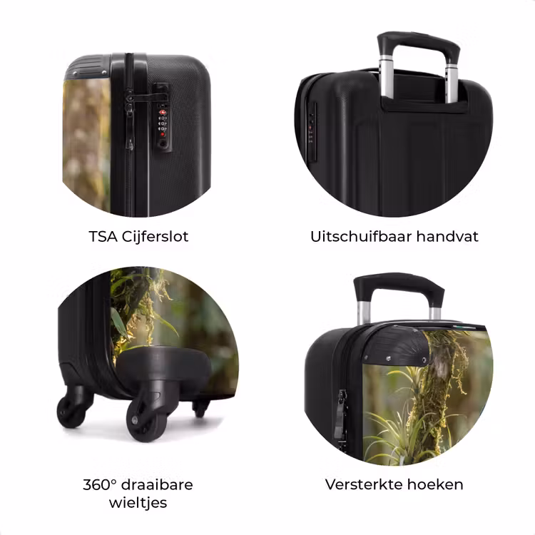 Koffer - Quetzal - Jungle - Natuur - Groen — 7