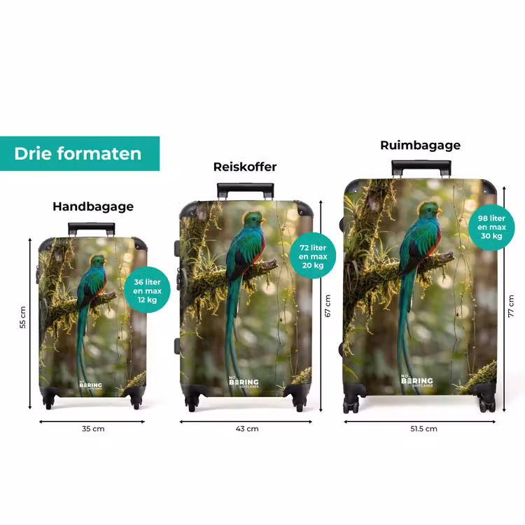 Koffer - Quetzal - Jungle - Natuur - Groen — 8