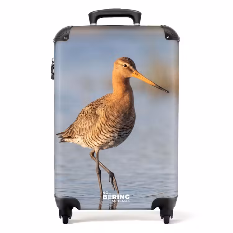 Koffer - Vogel - Steltloper - Water - Natuur — 1